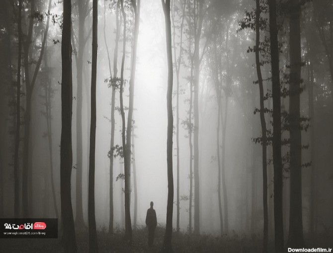 عکس جنگل نفرین شده در ایران