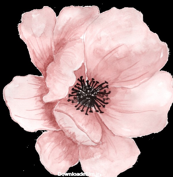 PNG گل صورتی - نقاشی کارتونی گل صورتی ❤ Pink Flower PNG Clipart