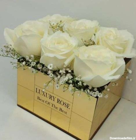 زیباترین گل رز سفید دنیا a1254 09129410059- ارسال دسته گل در ...