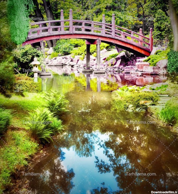 تصویر با کیفیت پل چوبی در باغ