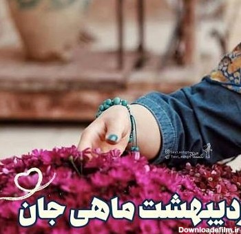 کلیپ تولد خواهر اردیبهشتی برای وضعیت واتساپ