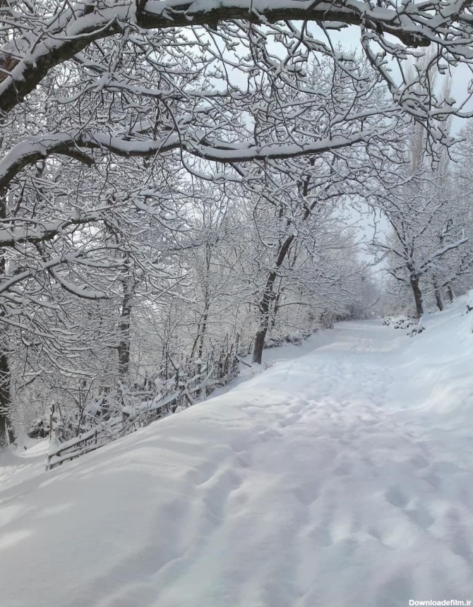 نمایی از طبیعت زمستانی موران + تصاویر