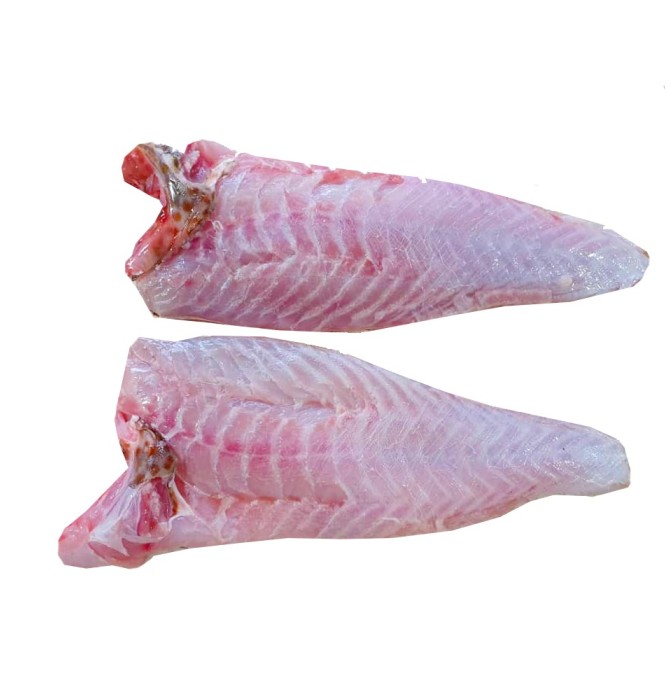 خرید فیله ماهی هامور | فروش انواع ماهی و میگو جنوب به قیمت مناسب ...