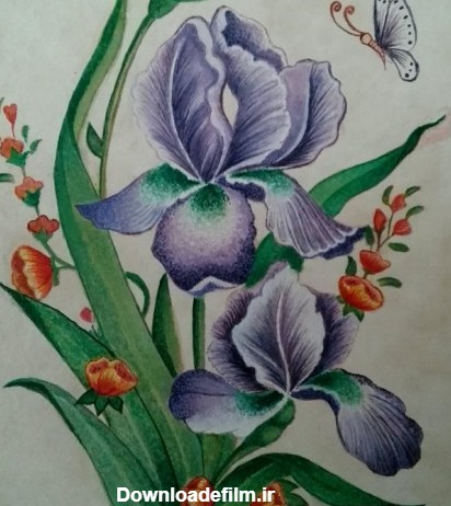 خرید و قیمت تابلو نقاشی گلهای زنبق از غرفه طرح گل | باسلام