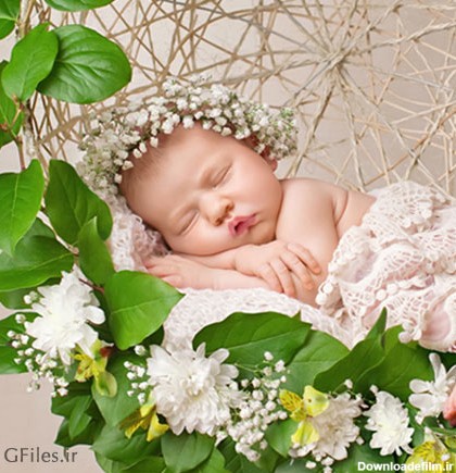 عکس با کیفیت از نوزاد خوابیده در گهواره با برگ گل