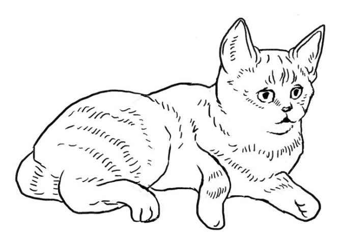 نقاشی کودکانه گربه ملوس، پشمالو و بامزه ساده و آسان و زیبا