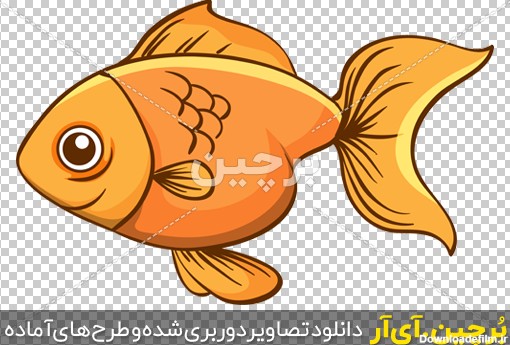 Borchin-ir-one-goldfish-white-background وکتور کارتونی ماهی قرمز عید png2