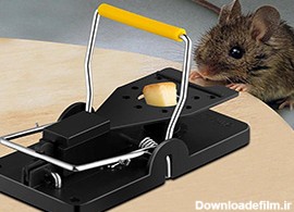ساخت تله موش ساده برای زنده شکار کردن موش ها + فیلم
