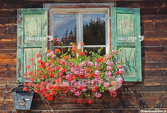 عکس پنجره چوبی و گل