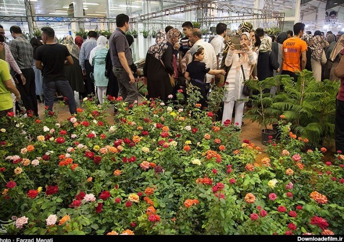 نمایشگاه گل و گیاه در کرمانشاه- عکس استانها تسنیم | Tasnim