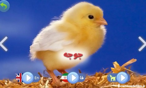 اسکرین شات بازی صدای حیوانات ( آموزش کودکان ) 2