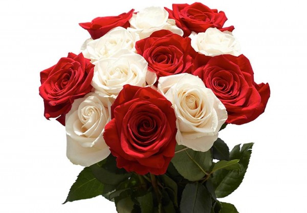راهنمای انتخاب رنگ گل رز برای روز ولنتاین | وبلاگ گُل‌سِتان