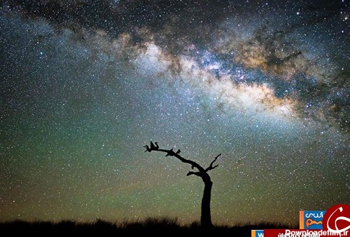 زیباترین تصاویر از آسمان پر ستاره و کهکشان راه شیری