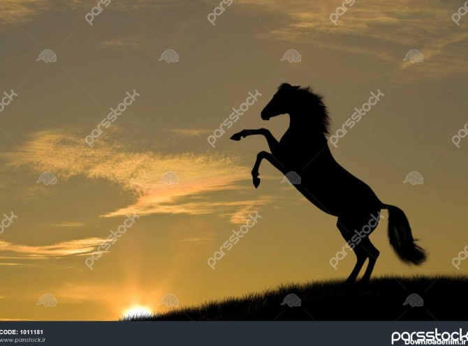اسب در غروب آفتاب 1011181