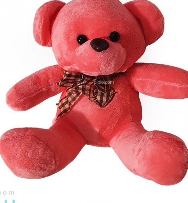 خرید و قیمت عروسک خرس کوچک ارزان | ترب