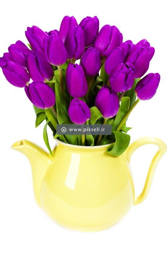 دانلود عکس با کیفیت از گلدان قوری و گلهای لاله بنفش