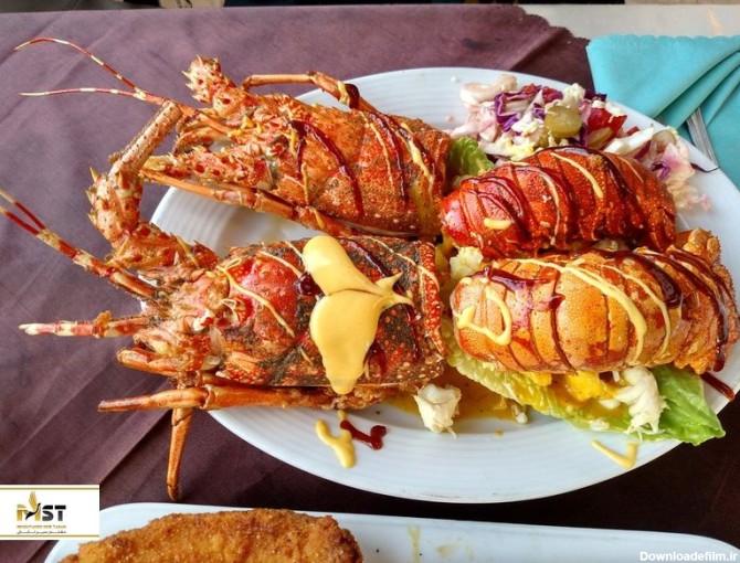 بهترین رستوران‌های غذای دریایی در کیش | مقتدر سیر