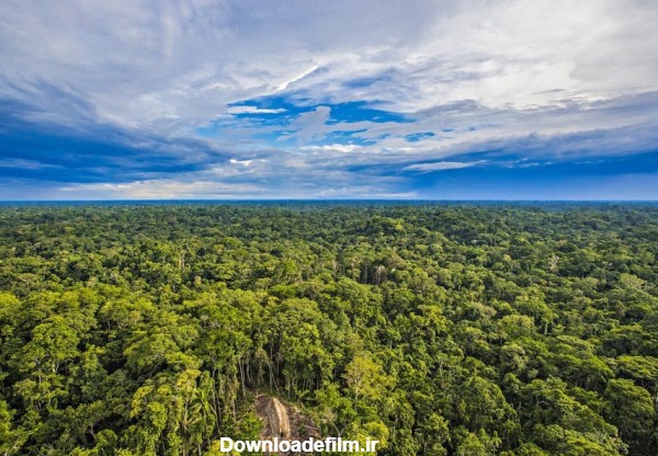 عکس/تصاویر هوایی از بومیان آمازون‎- اخبار رسانه ها تسنیم | Tasnim