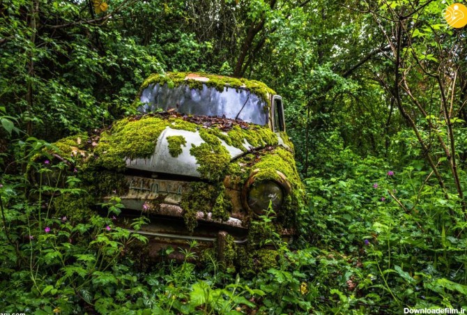 فرارو | تصاویر چشم نواز از خودروهای رها شده در طبیعت