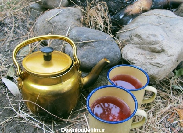 تفاوت های دم کردن چای در ارتفاعات- اخبار اجتماعی تسنیم | Tasnim