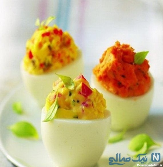 غذا با تخم مرغ | طرز تهیه سریع و ساده انواع متنوع غذا با تخم مرغ