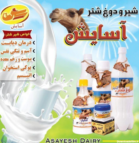 شیر نیم لیتری شتر آسایش ( پک 6 عددی همراه با یخدان ...