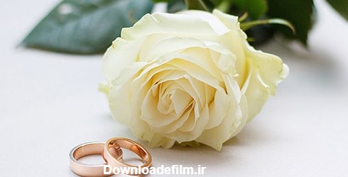 تصویر حلقه های ازدواج و عروسی کنار گل رز | فری پیک ایرانی | پیک ...