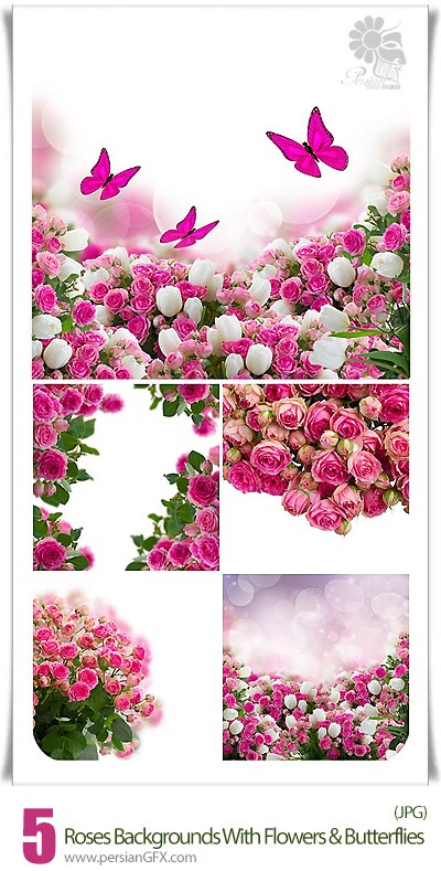 دانلود فریم های با کیفیت پس زمینه های گل رز و پروانه - Roses Backgroun