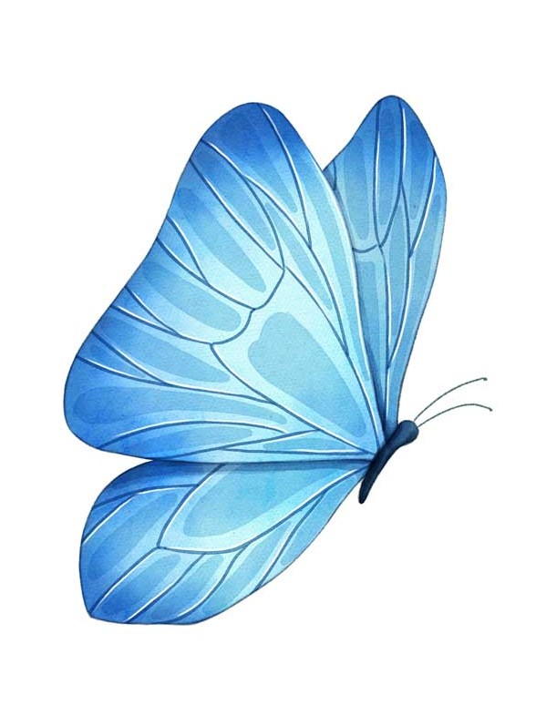 طرح لایه باز کلیپ آرت پروانه با بالهای آبی