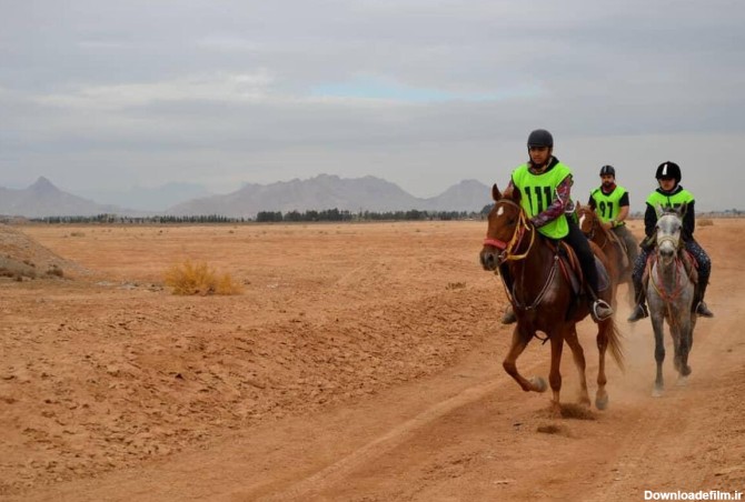 سوارکاران برتر فصل پاییز استان اصفهان مشخص شدند