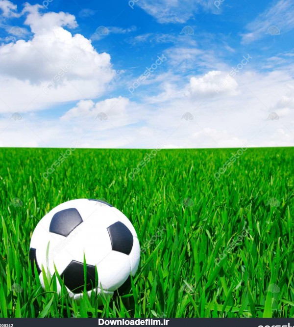 توپ فوتبال در چمن 1000242