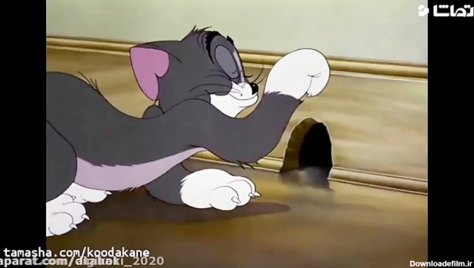 کارتون موش و گربه - تام و جری - موش گربه و سگ