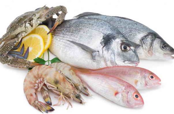 معرفی کامل ماهی‌های جنوب - سکوتِ فریاد