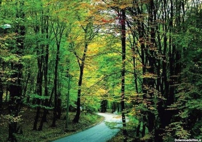 پارک های جنگلی گلستان، تفرجگاهی زیبا برای مسافران نوروزی + ...
