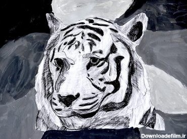 نقاشی حیوانات سیاه و سفید - سایت هنرکودکان