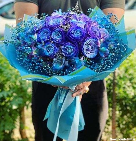 قیمت یک شاخه گل رز آبی طبیعی a880 09129410059- ارسال گل در محل ...