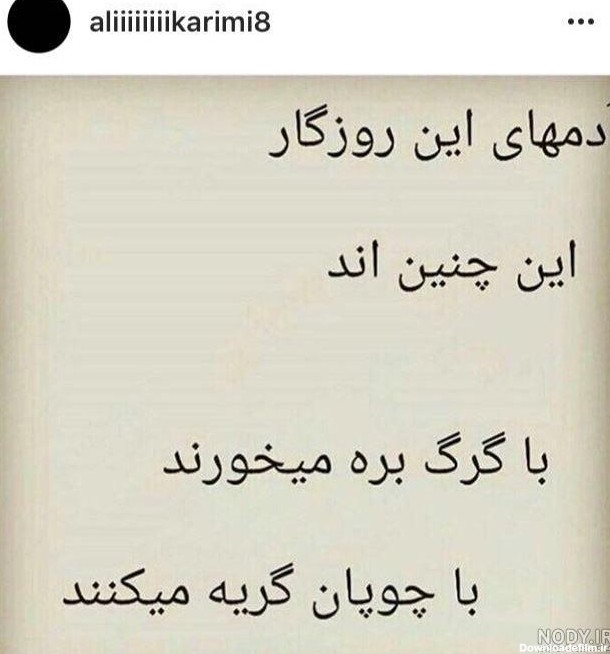 عکس نوشته با گرگ بره میخورند