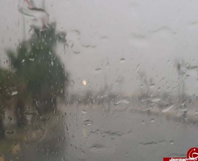 باران شیشه پنجره بوشهر را شست + فیلم