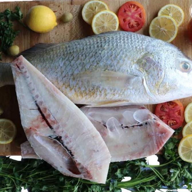 خواص ماهی سنگسر | بررسی ارزش غذایی ماهی سنگسر جنوب | ماهی خان