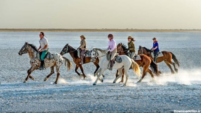 جذاب ترین مقاصد گردشگری برای دوستداران اسب و اسب سواری - بلاگ ...