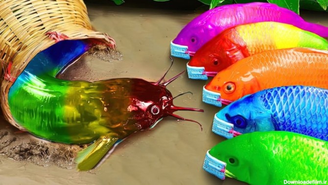 کارتون ماهی ها - ماهی های رنگارنگ کوی - انیمیشن هنری - شکار سارق