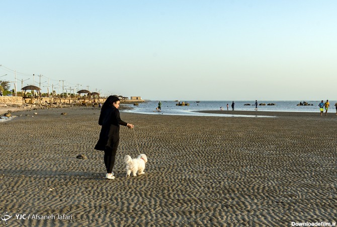تصاویر/ مردم در ساحل بوشهر - نوای جنوب