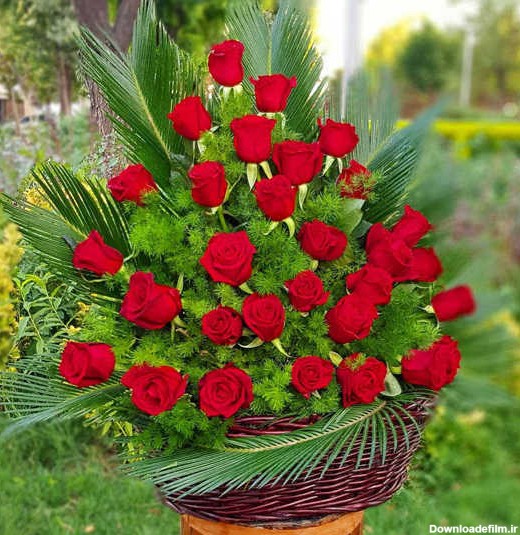 خريد اينترنتی سبد گل رز قرمز همین امروز تهران-خرید آنلاین گل، کادو ...