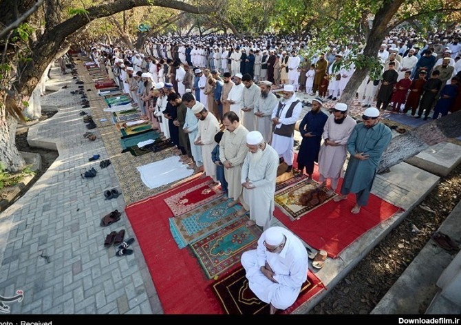 نماز عید فطر در سراسر جهان- عکس خبری تسنیم | Tasnim