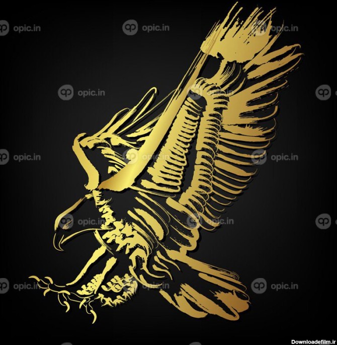 وکتور عقاب روی پس زمینه مشکی | اوپیک