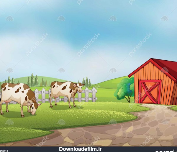تصویر از دو گاو در مزرعه با انبار و حصار 1053513