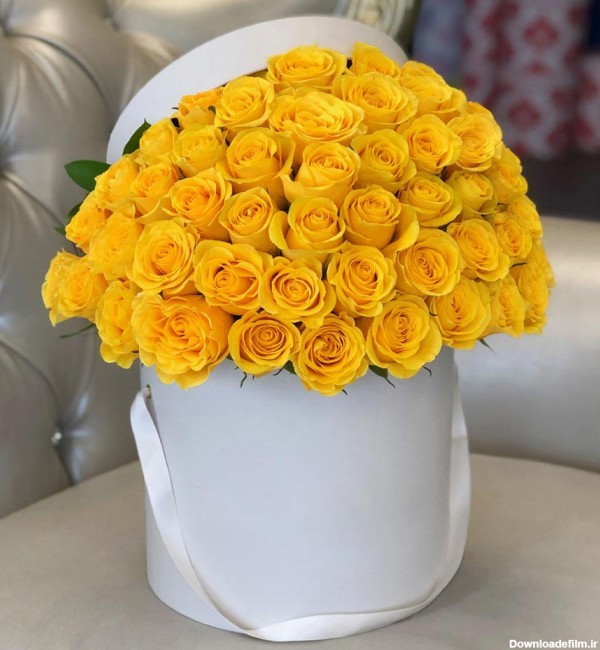 باکس گل رز زرد (یک‌طرفه) - پیکادو