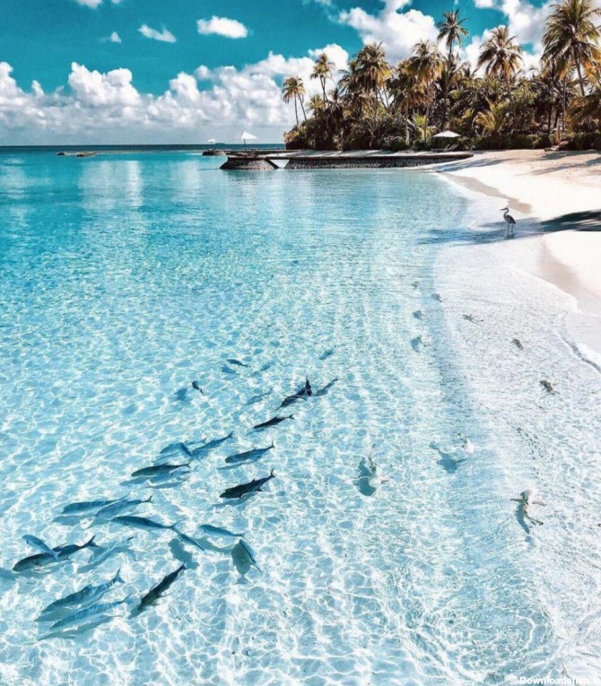 تجربه ی آرامش واقعی در زیباترین سواحل دنیا در مالدیو - عکس ویسگون