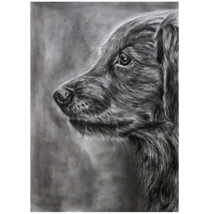 قیمت و خرید نقاشی سیاه قلم طرح سگ مدل 979237