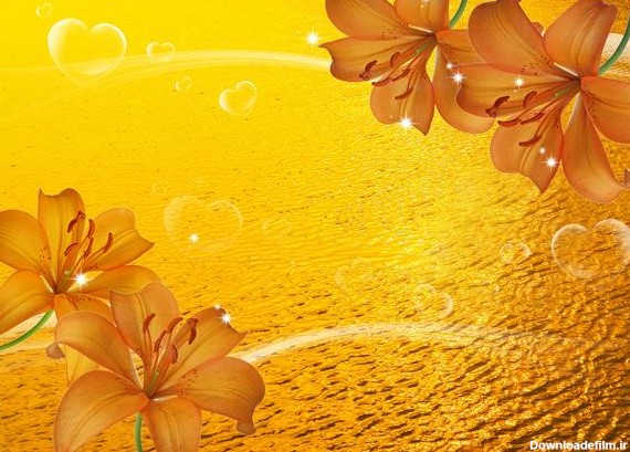 گلهای زرد و دریای طلایی